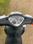 Moto CR T-Rex Klass 1 2021