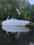 Sea ray 240 Sundancer