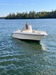 Ryds 600 GTS - 200 hk + 80 trailer 