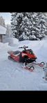 Lynx Shredder RE 3700 -23