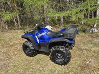 Yamaha Grizzly 700 EPS