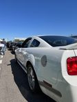 Ford Mustang California Special GT/CS -07