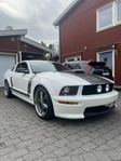 Ford Mustang California Special GT/CS -07