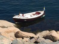 Långsjösnipa till salu
