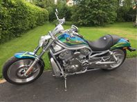 Harley-Davidson V-Rod i utsällningsskick