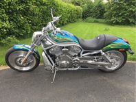 Harley-Davidson V-Rod i utsällningsskick