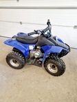 Barnfyrhjuling 50cc