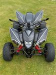 Smc Wildcat 520 re