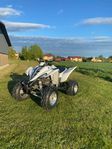 Yamaha Raptor 350R 2006