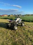 Yamaha Raptor 350R 2006