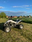 Yamaha Raptor 350R 2006