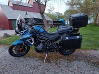 Triumph Tiger XRT800 