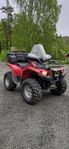 Yamaha Grizzly 700 -2014 bandsats