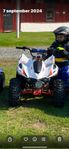 Kayo 70cc 