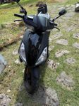 Moped MotoCr T-rex