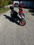moped keewey