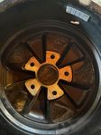 Fuchs kopia 15x7