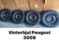Vinterhjul Peugeot 3008 dubb