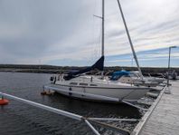 sunwind 26