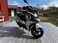 Viarelli Monztro 2018
