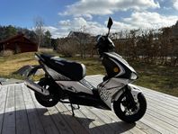 Viarelli Monztro 2018