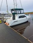 mainship 31 