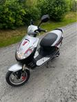 Peugeot Vivacity