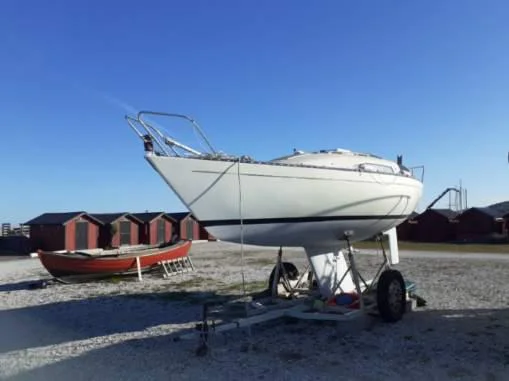 Albin 79 image