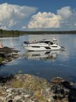 Westline 365 sport cupe