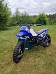 Pw50