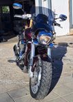 Suzuki M109R Intruder