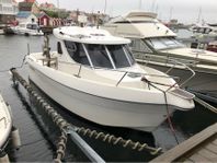 Arvor 25
