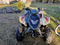 polaris phoenix 200