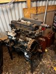 Ford båtmotor