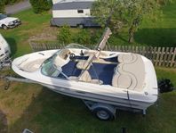 Sea ray Br 180 