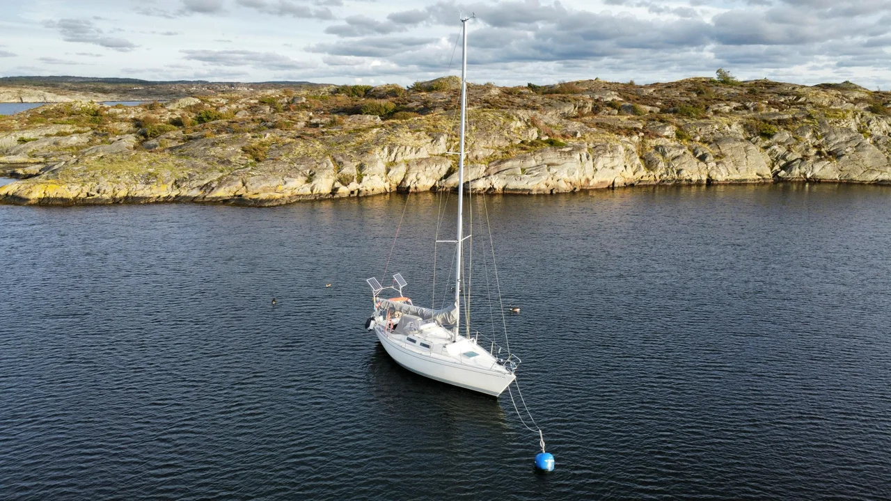 Albin Delta image