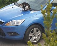 4 Sommardäck på plåtfälg 205/55R16