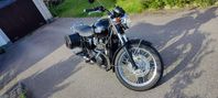 Triumph Bonneville T100