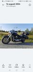 Kawasaki vulcan