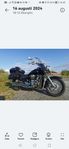 Kawasaki vulcan