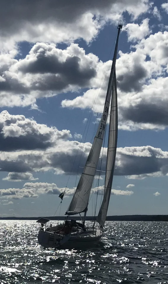 Hanse 331 – trygg och lättseglad image