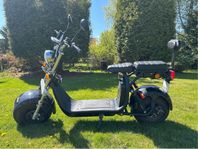 Fatbike/EUmoped