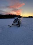 Ski Doo Freeride 154”