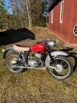 Monark Blue Stinget 