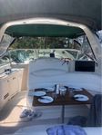 Sea Ray 340 365 Sundancer inkl. Ribbåt suzumar 