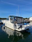 Sea Ray 340 365 Sundancer inkl. Ribbåt suzumar