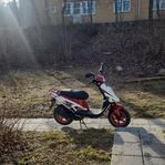 PGO Big Max 25