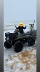 Polaris workman 500