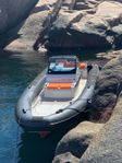 Goldfish 29 Sport