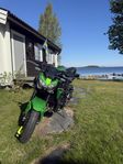 Kawasaki Z900 2020 – Slip-on, barendspeglar, gott skick!